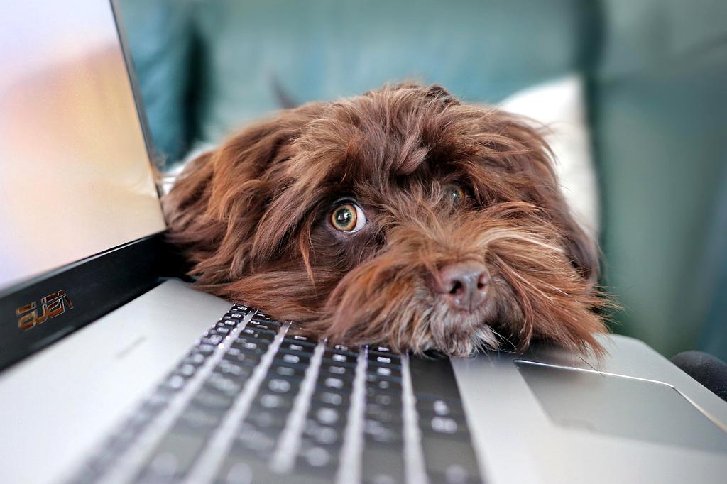 Laptop screen with software configuration